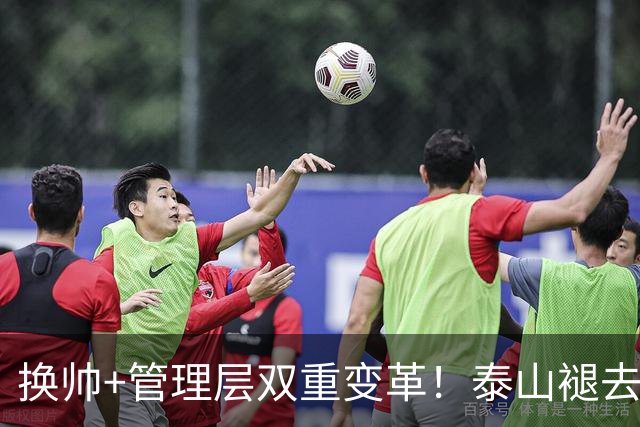换帅+管理层双重变革！泰山褪去安逸风气，战海港开启全新篇章