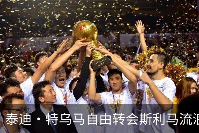 泰迪·特乌马自由转会斯利马流浪者，签约两年