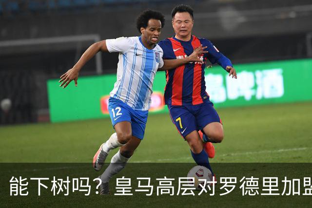 能下树吗？皇马高层对罗德里加盟心存疑虑，赞助商和球迷极力支持